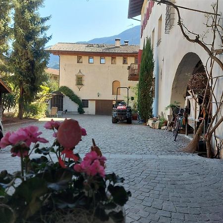 Ansitz Von Wohlgemuth Apartment Salorno Bagian luar foto