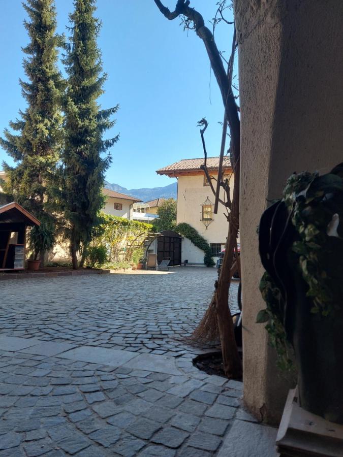Ansitz Von Wohlgemuth Apartment Salorno Bagian luar foto